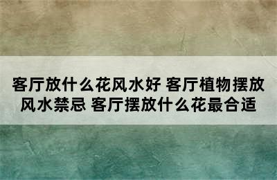 客厅放什么花风水好 客厅植物摆放风水禁忌 客厅摆放什么花最合适